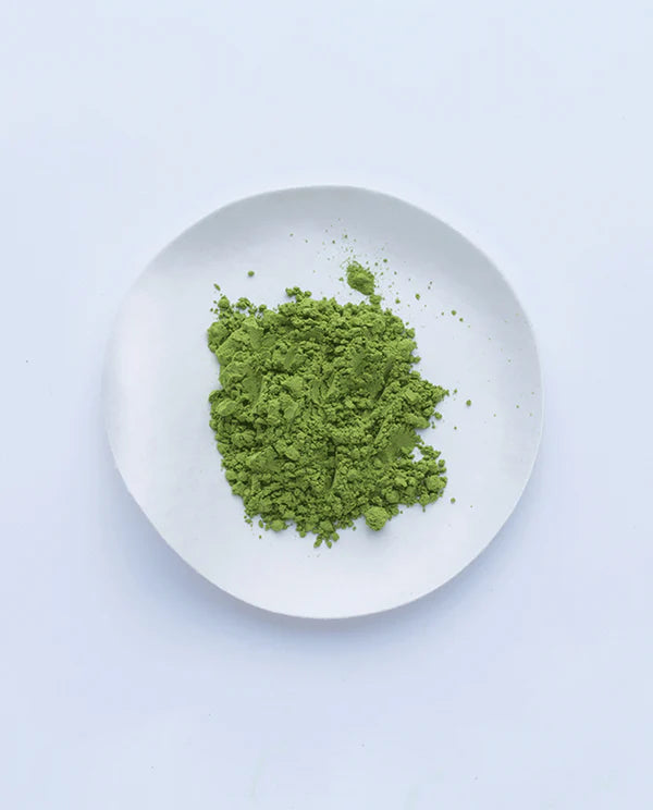 Ippodo Tea Matcha - Fumi-no-Tomo 100g Culinary Japanese Matcha Powder