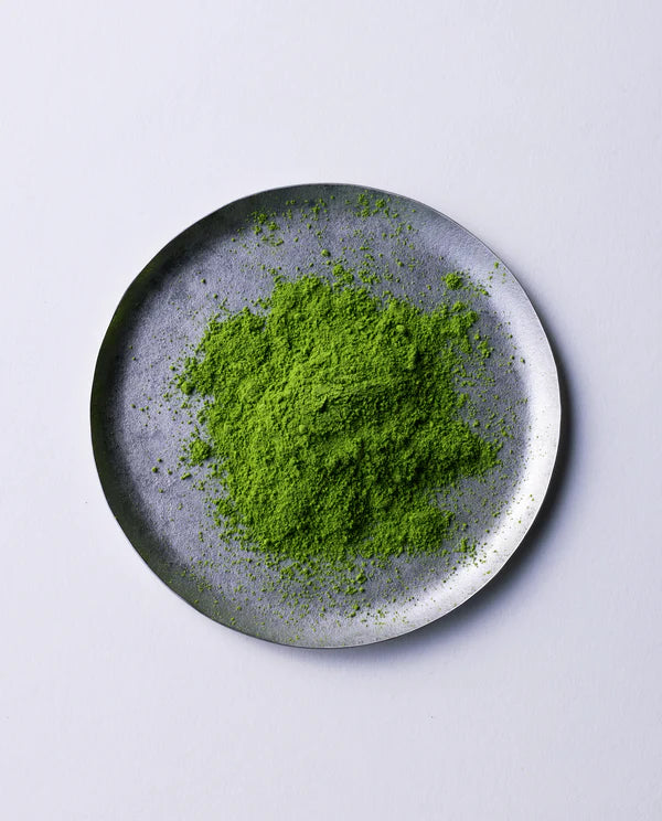 Ippodo Tea Matcha - New Harvest 20g (Spring Edition) Ceremonial Matcha