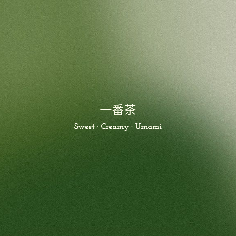Seren Matcha - Haru Ceremonial Matcha (First Harvest)