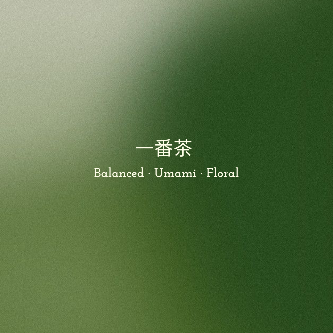 Seren Matcha - Hikari Ceremonial Matcha (Boxing Day Exclusive)