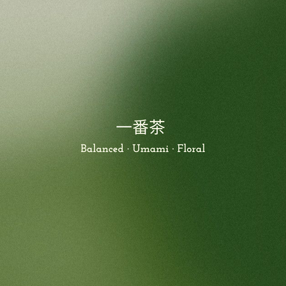 Seren Matcha - Hikari Ceremonial Matcha (Boxing Day Exclusive)