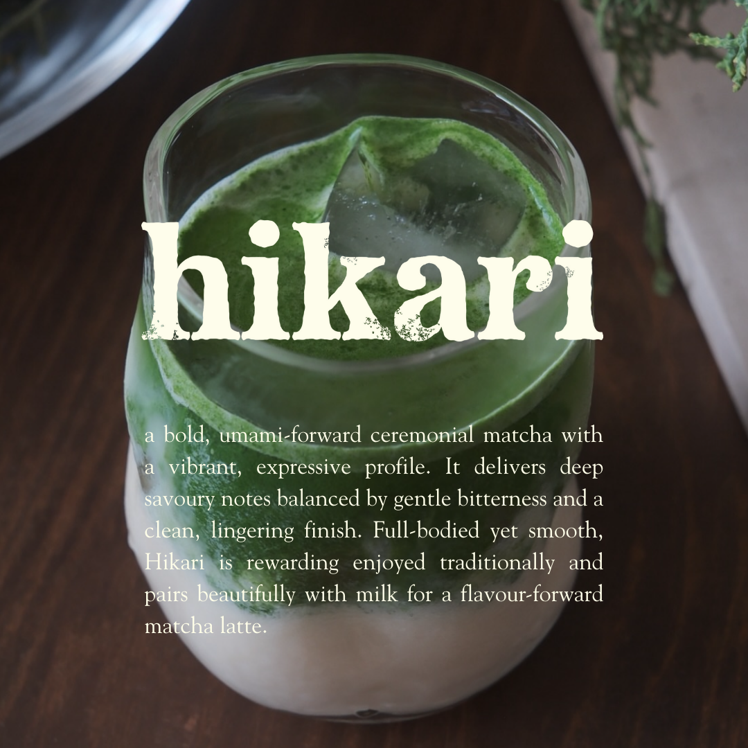 Seren Matcha - Hikari Ceremonial Matcha (Boxing Day Exclusive)