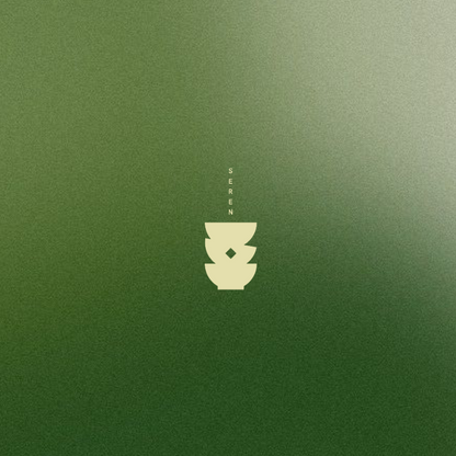 Seren Matcha - Stainless Steel Matcha Measuring Spoon