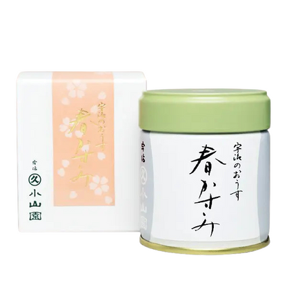 Marukyu Koyamaen Matcha - Harukasumi (Spring Edition) Ceremonial Japanese Matcha Powder