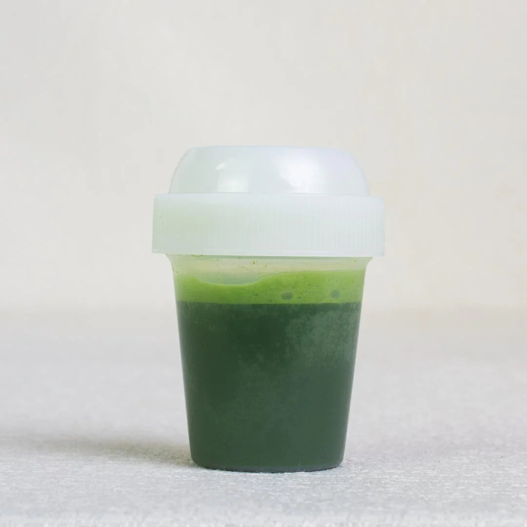 Japanese Mini Matcha Shaker – Whisk-Free Matcha in Seconds